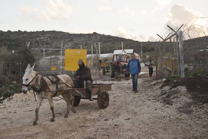 Palestinians crossing into Israel for agricultural work.Credit: Tomer Appelbaum [Haaretz]